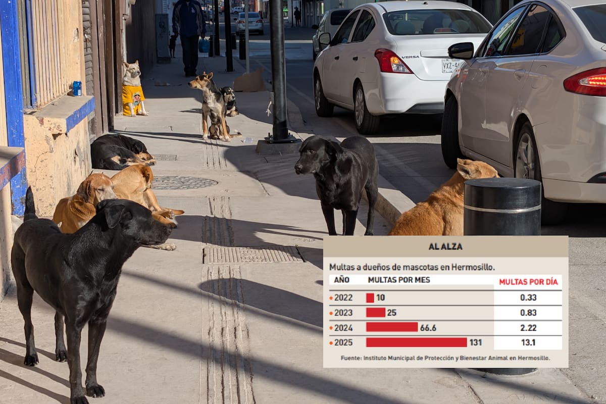 Repuntan multas contra dueños de mascotas por irresponsabilidad