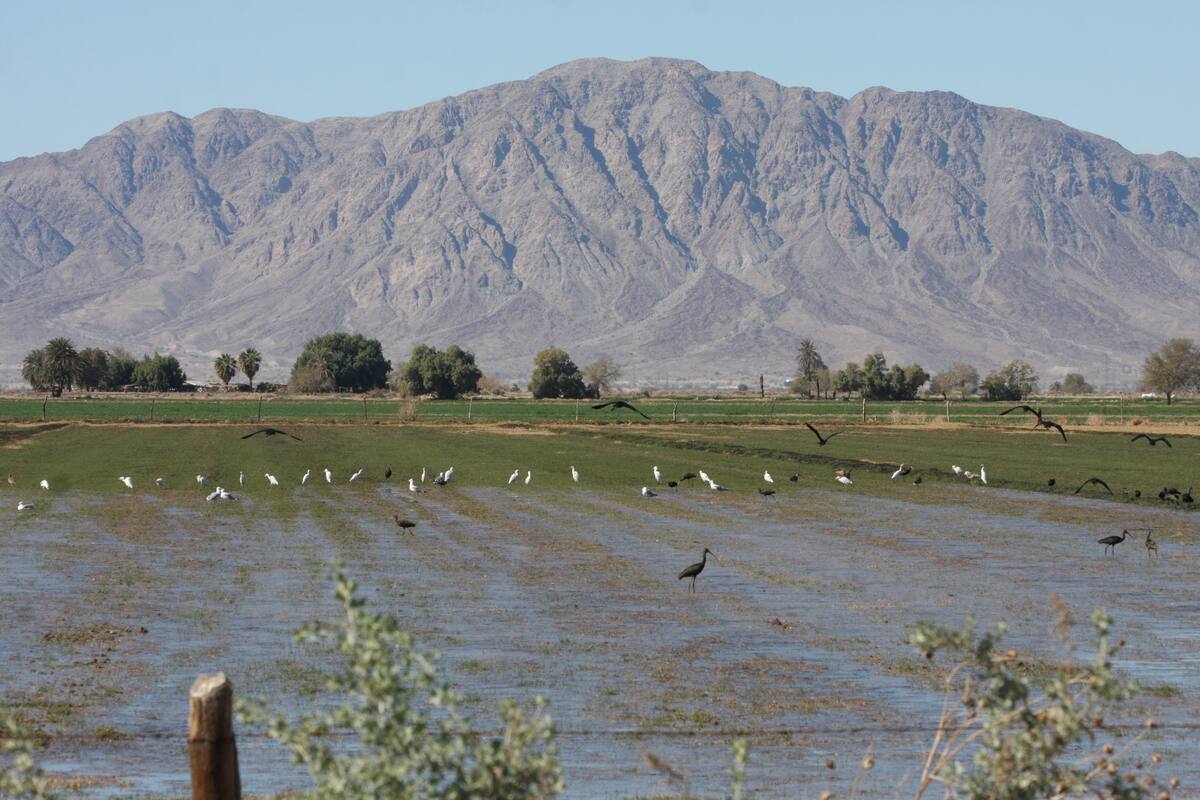 Regresan temperaturas superiores a los 30 grados a partir de este fin de semana