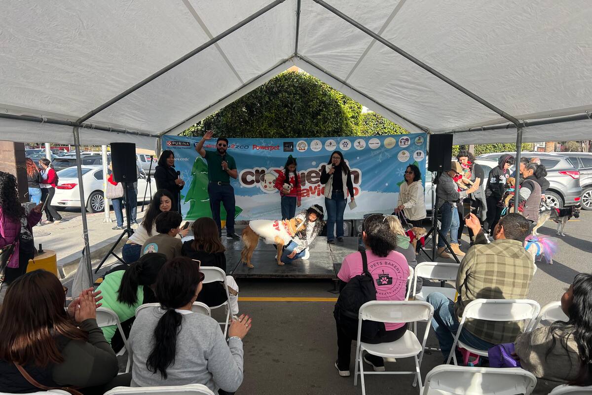 Croquetón Tijuana 2024 beneficia a más de 1000 perros y gatos