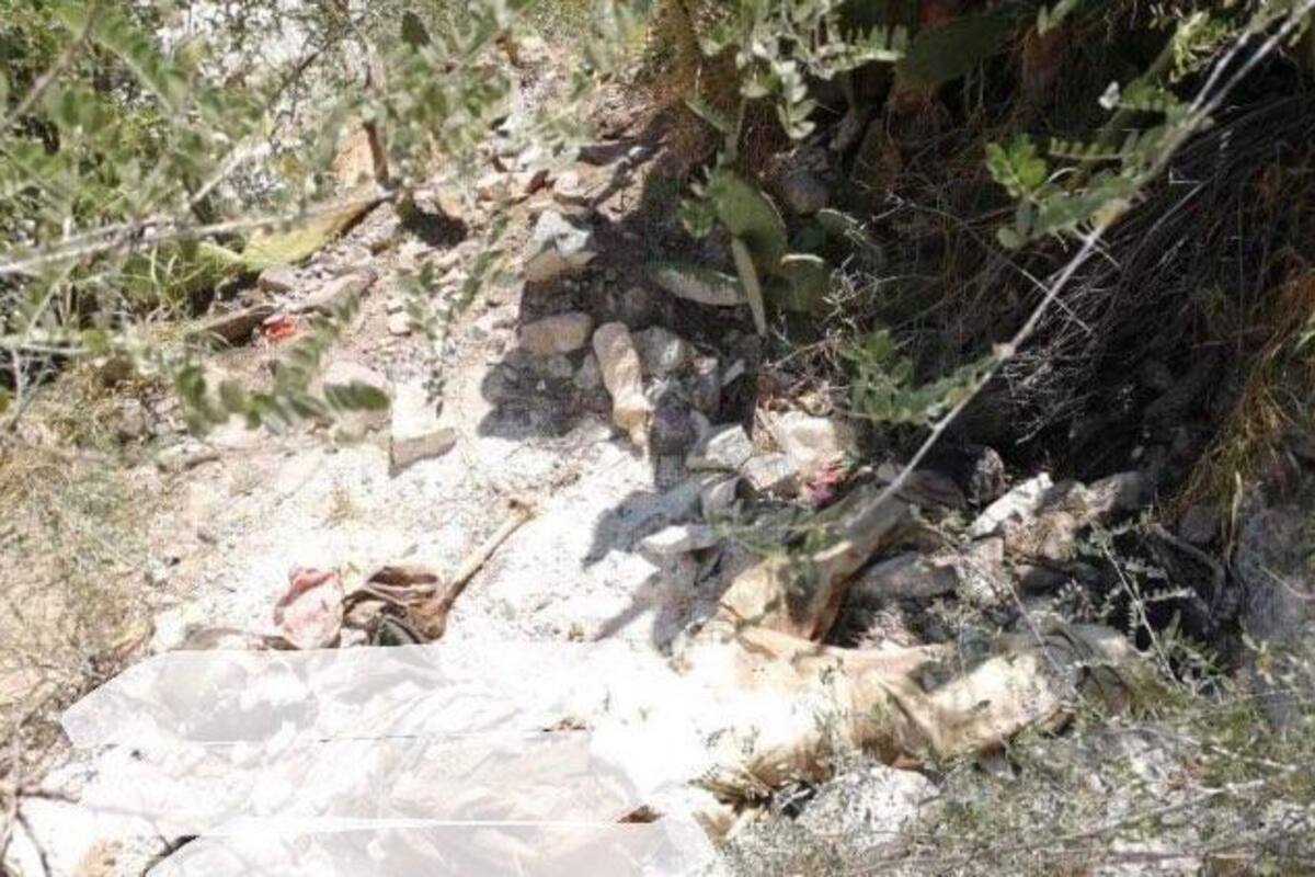 Ubican cuerpo en descomposición en cerro de Hermosillo