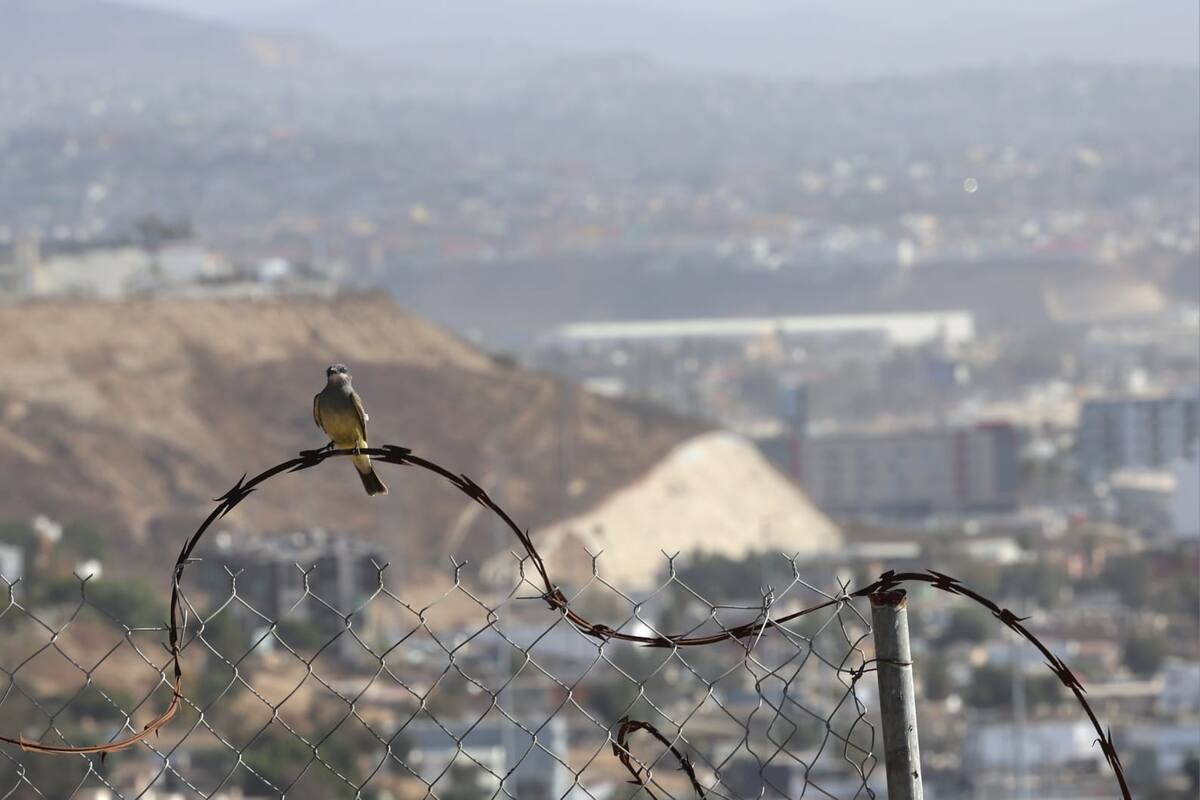 Clima Tijuana: Disminuyen rachas de viento tras condición Santa Ana