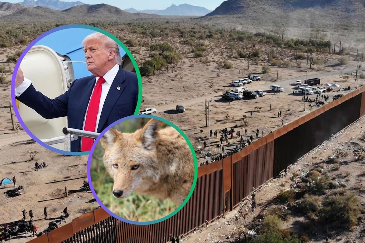 Donald Trump quiere ampliar el muro fronterizo, pero la construcción de más de 40 km en Arizona amenaza a la vida silvestre y el ecosistema, según informe del centro de Diversidad Biológica