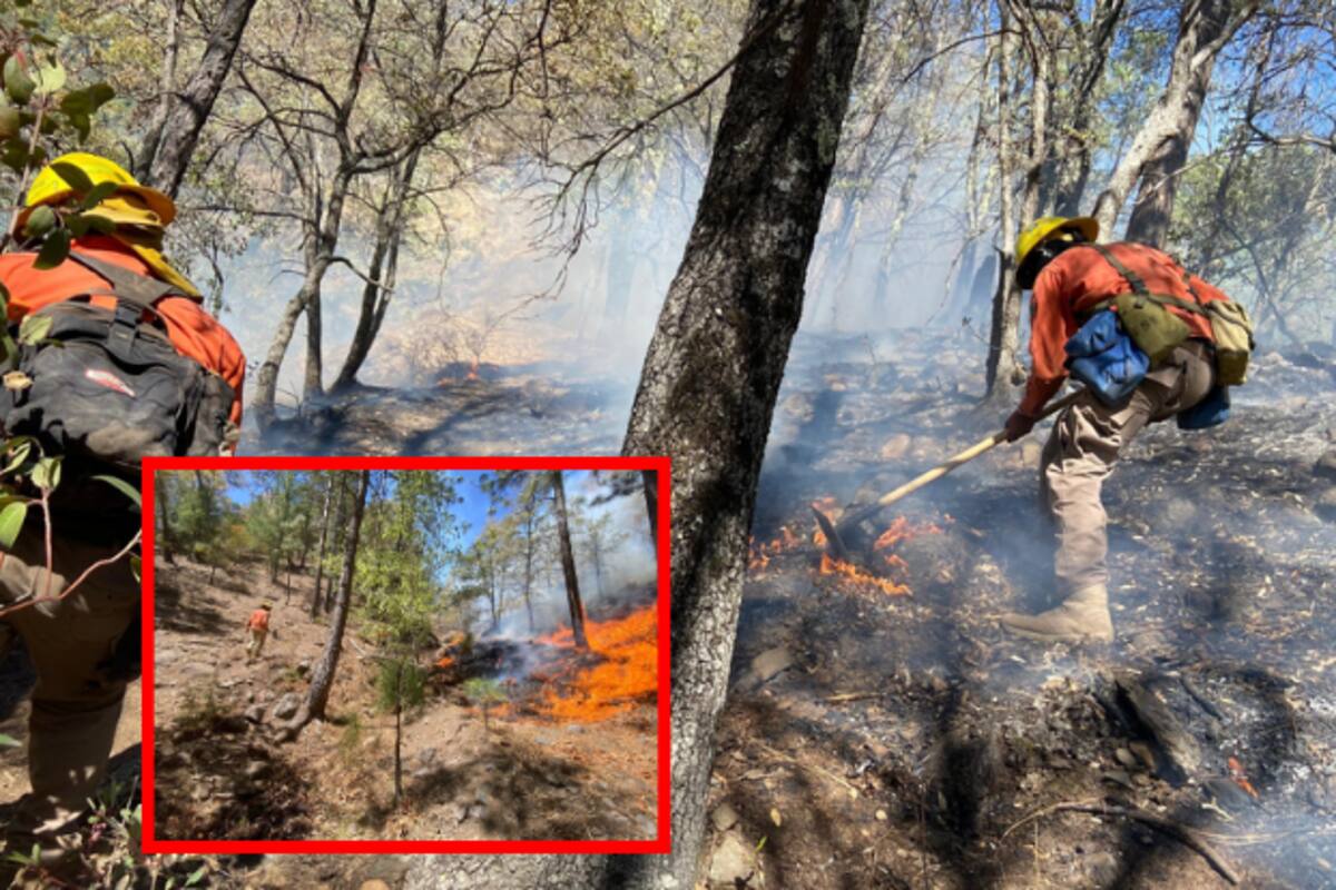 Avanza el combate a incendios forestales en Sonora: Nácori Chico alcanza 50% de control
