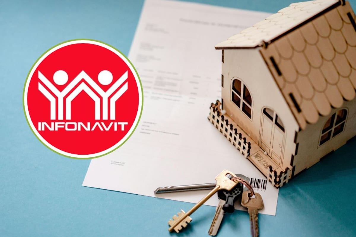 Infonavit presta hasta 169 mil pesos con Mejoravit en 2026 para remodelar una casa sin afectar su estructura; estos son los requisitos y lo que Home Depot acepta con la tarjeta vigente