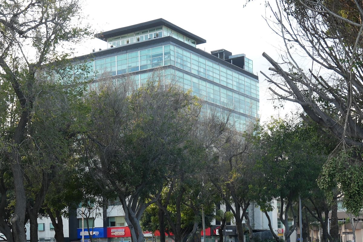 Sindicatura investiga tala de árboles de más de 30 años en Zona Río