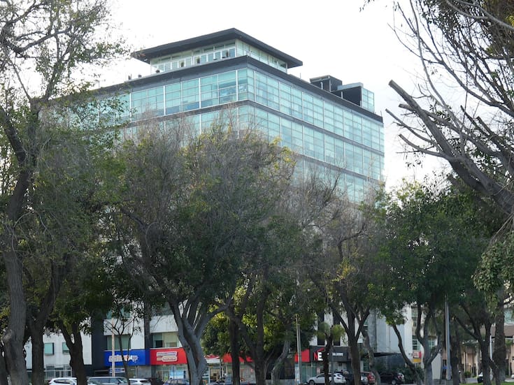 Sindicatura investiga tala de árboles de más de 30 años en Zona Río