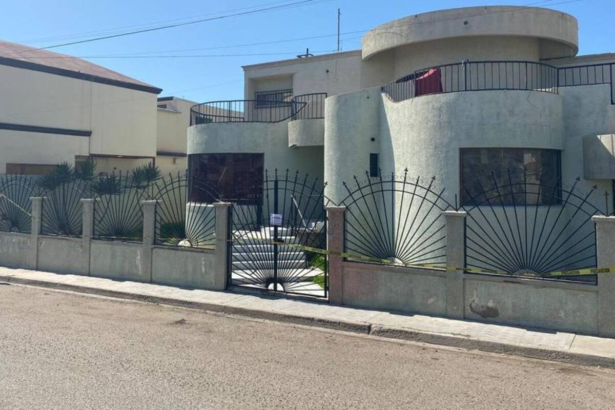 Tras cateos en Ensenada FGE decomisa 5 kilos y más de mil plantas de mariguana