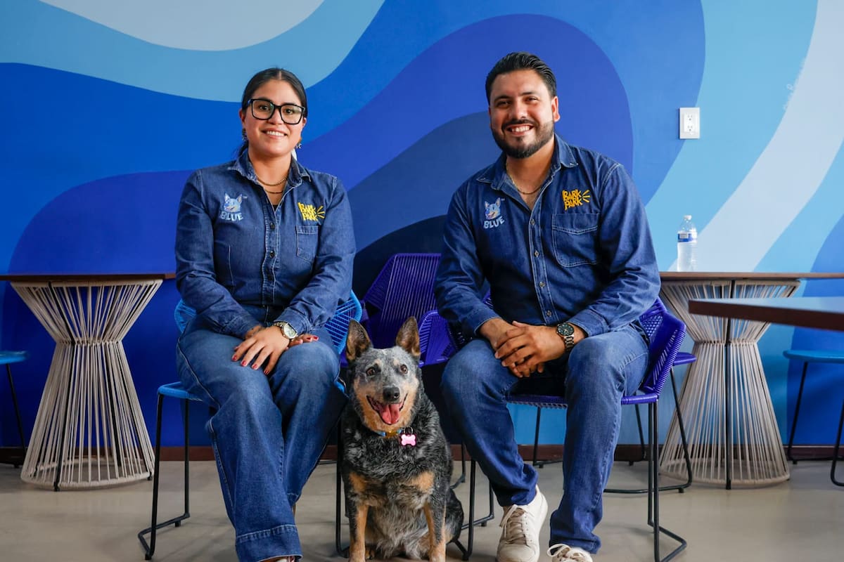 Bark Park: más que un parque, un proyecto que busca cambiar la relación entre las familias y sus perros