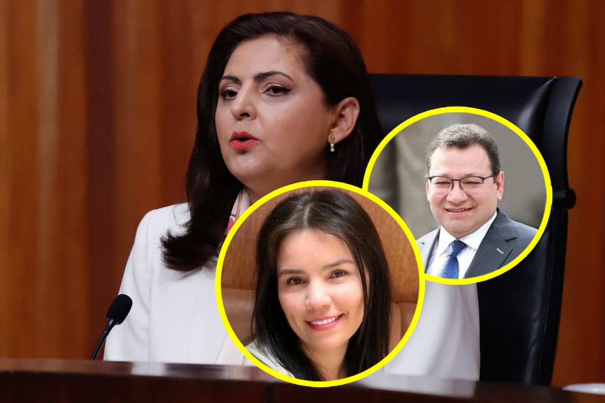 ¿Quiénes son Felipe Fuentes y Mónica Soto que votaron contra Karla Estrella por violencia política de género contra Diana Karina Barreras?