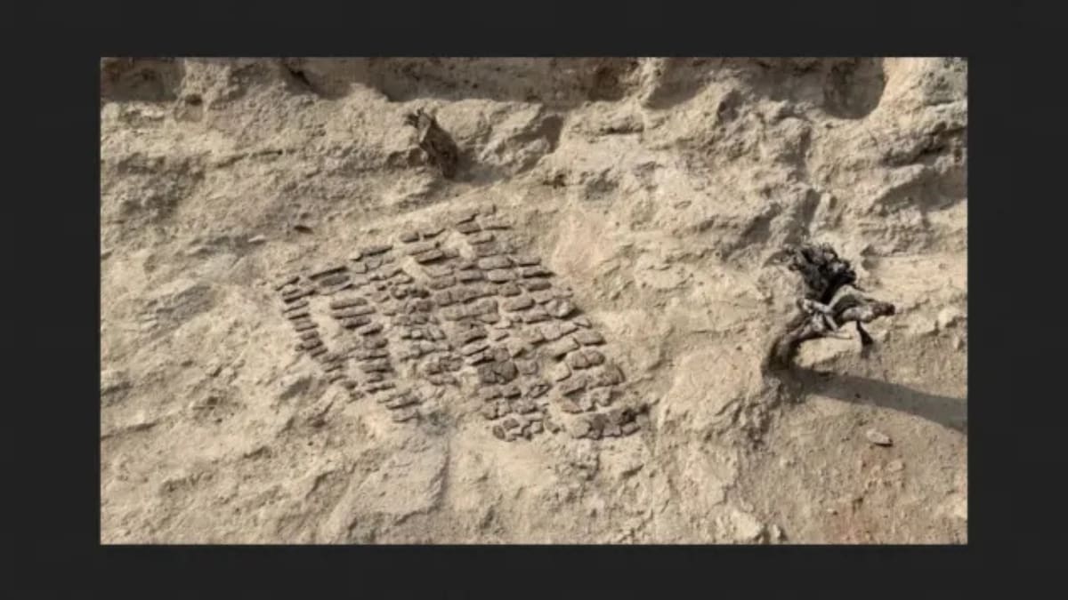 Descubren en Uzbekistán una armadura completa de 1,500 años: qué revela sobre las culturas que habitaron Kanka