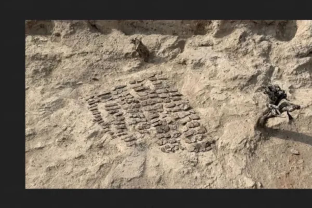 Descubren en Uzbekistán una armadura completa de 1,500 años: qué revela sobre las culturas que habitaron Kanka