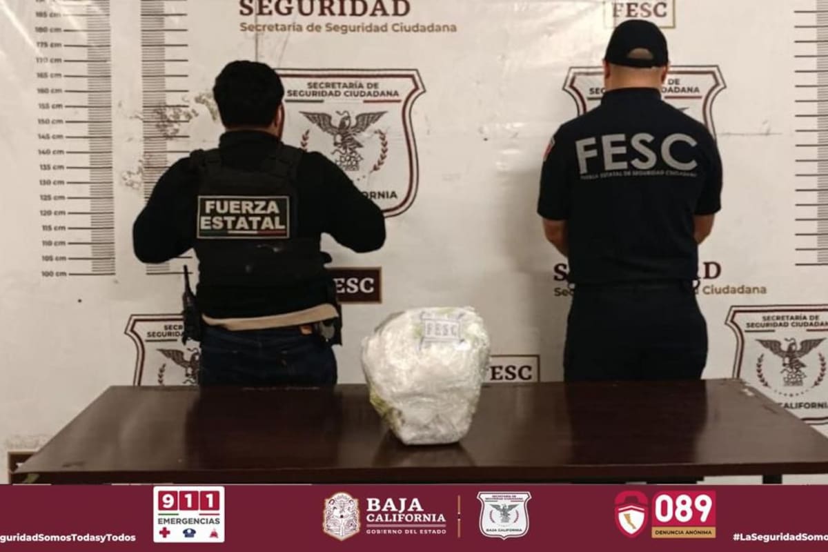 Decomisa Fuerza Estatal cargamento de cocaína y metanfetamina en Tijuana