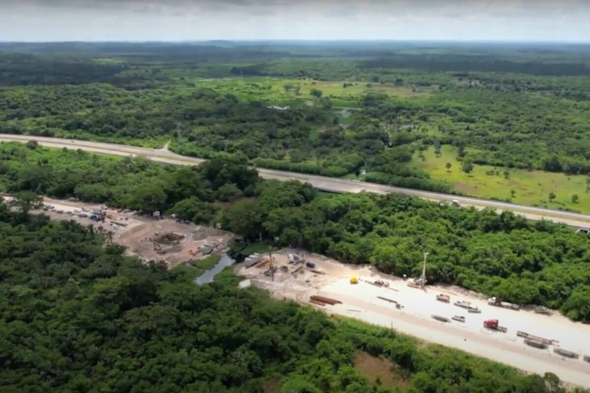 Inai instruye a Semarnat dar a conocer plan de reforestación en ruta del Tren Maya