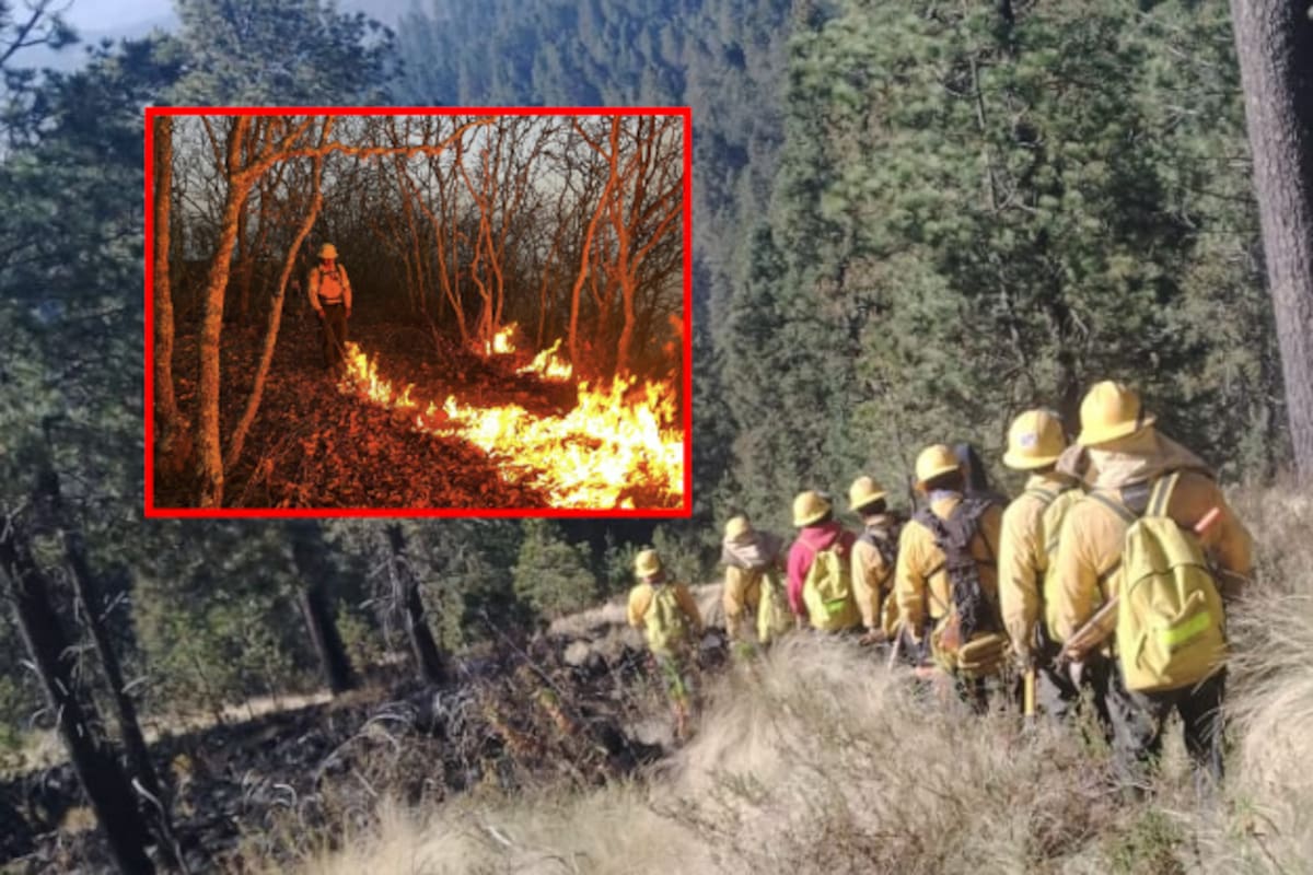 Tan solo en Puebla se acumulan 153 incendios forestales en lo que va del año y se posiciona entre los estados con más casos
