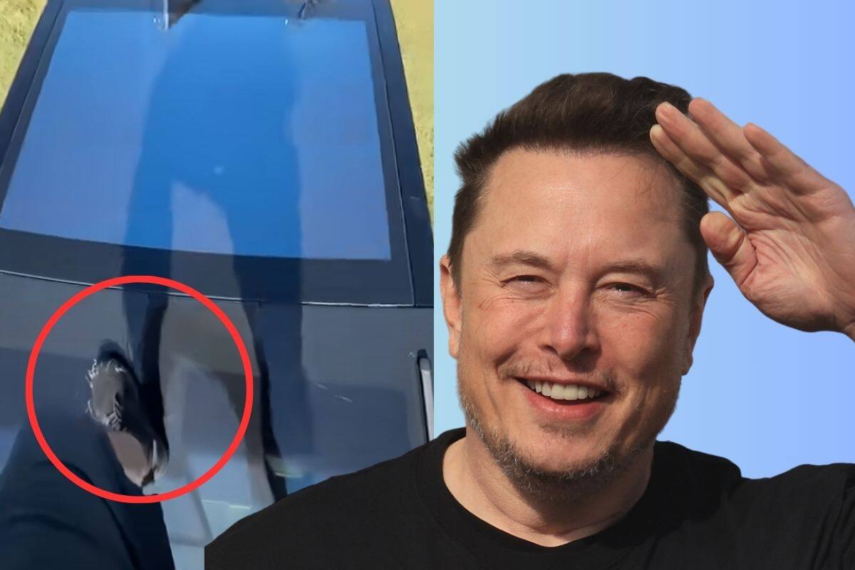 VIDEO: Fan de Tesla camina sobre Cybertruck para presumir su resistencia y rompe el parabrisas