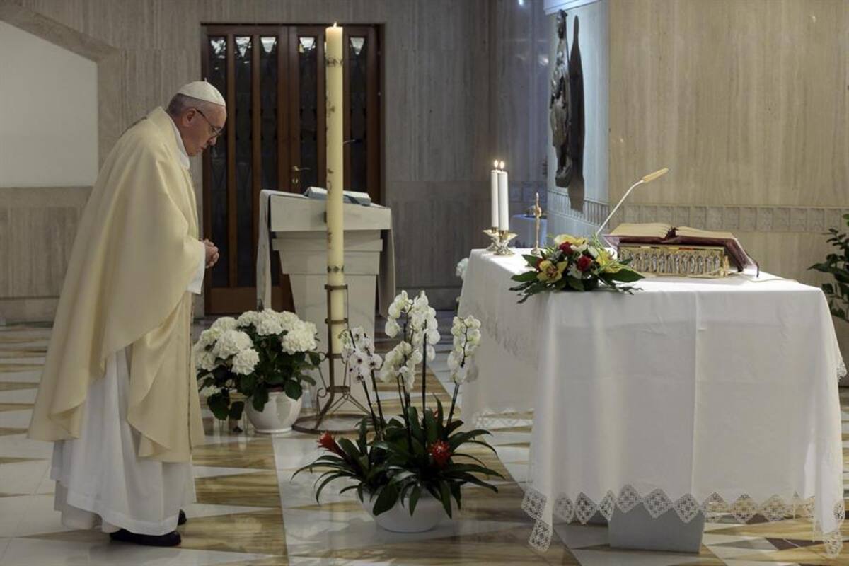 Papa: Hemos depredado la tierra, poniendo en riesgo hasta nuestra vida