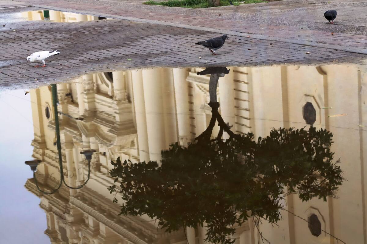 Clima en Sonora: Pronostican lluvias y posibles nevadas para hoy por sexta tormenta invernal