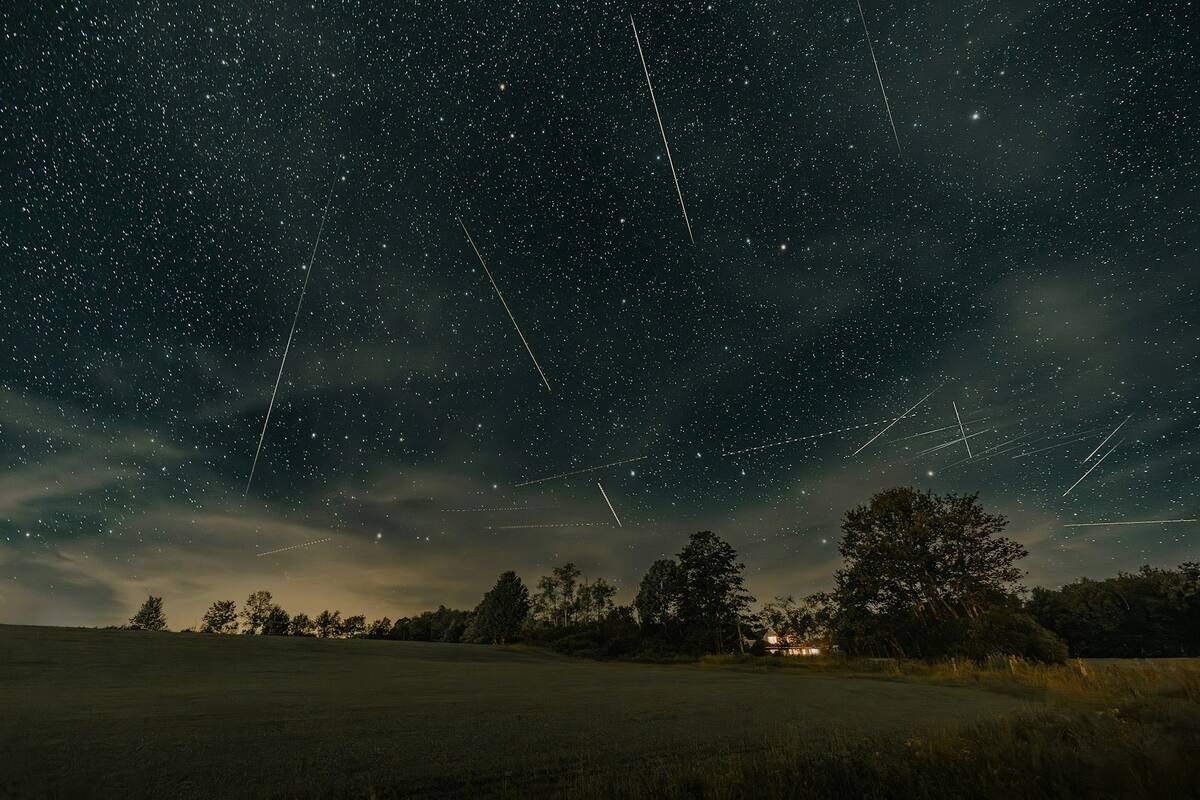 Lluvia de Perseidas 2024: Conoce cuándo y cómo verlas en México
