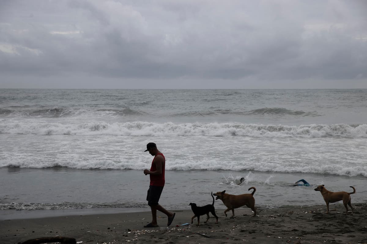 El viento será fuerte y el oleaje elevado en algunas zonas.