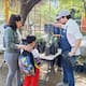 Árboles nativos gratis en Hermosillo: así puedes recibir uno con las donaciones en el Vivero Municipal
