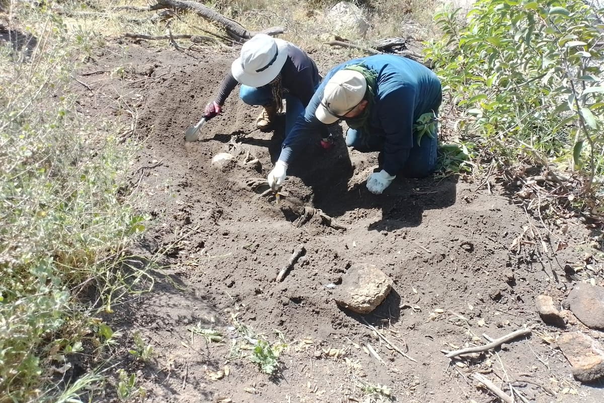 Confirman identidad de dos duranguenses hallados en fosa clandestina en Tecate