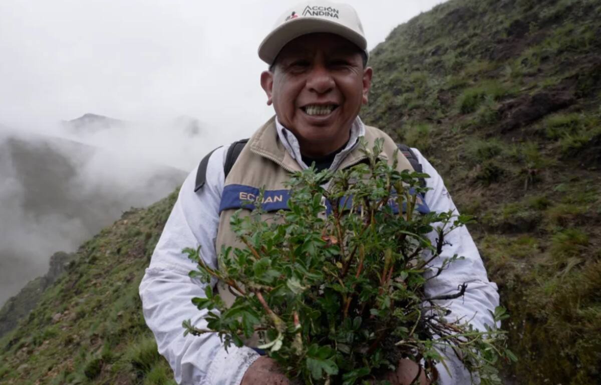 Constantino Aucca Chutas ha dedicado su vida a restaurar los bosques antiguos de los Andes. / CNN