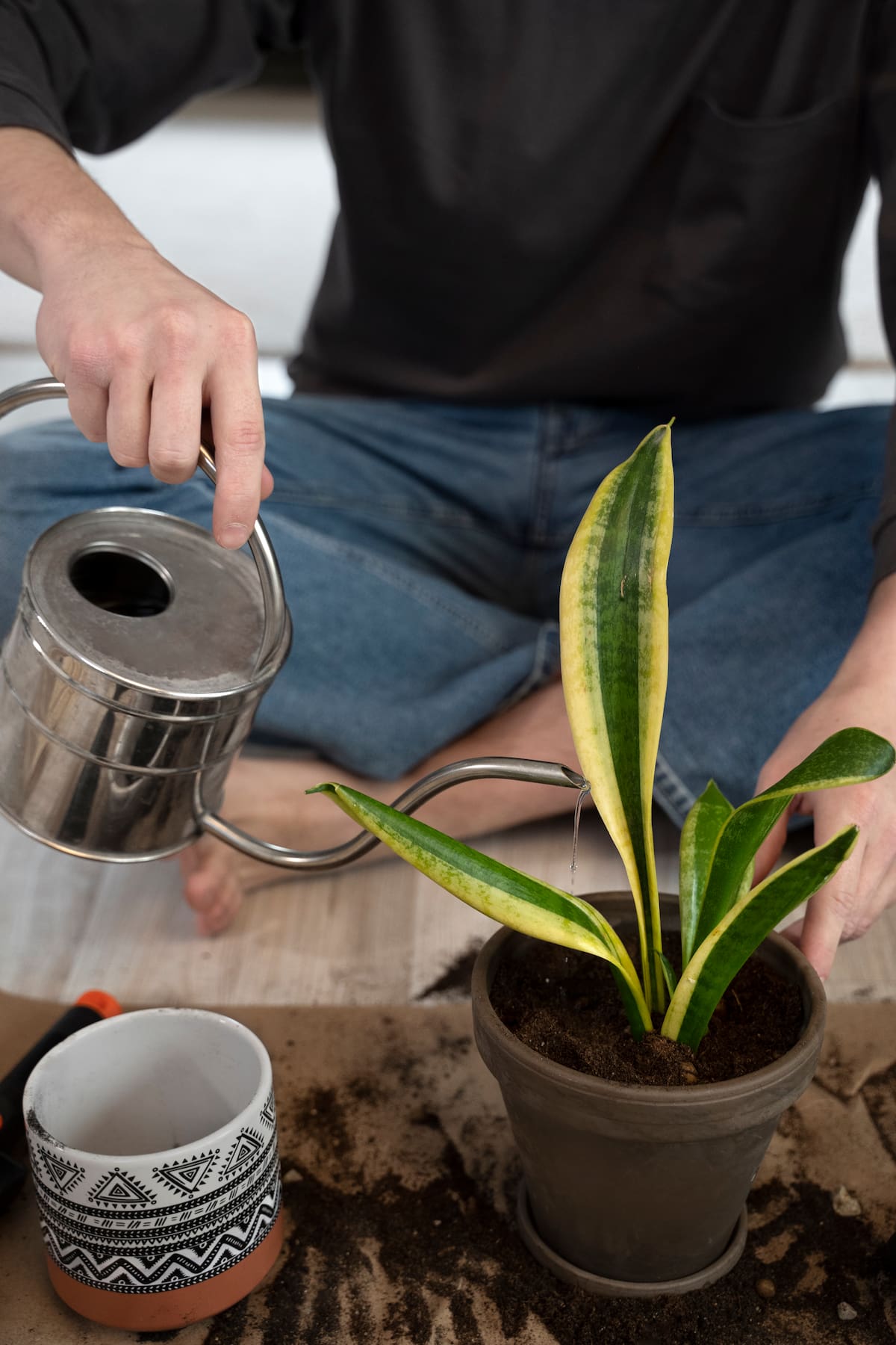 El exceso de riego también es dañino para las plantas