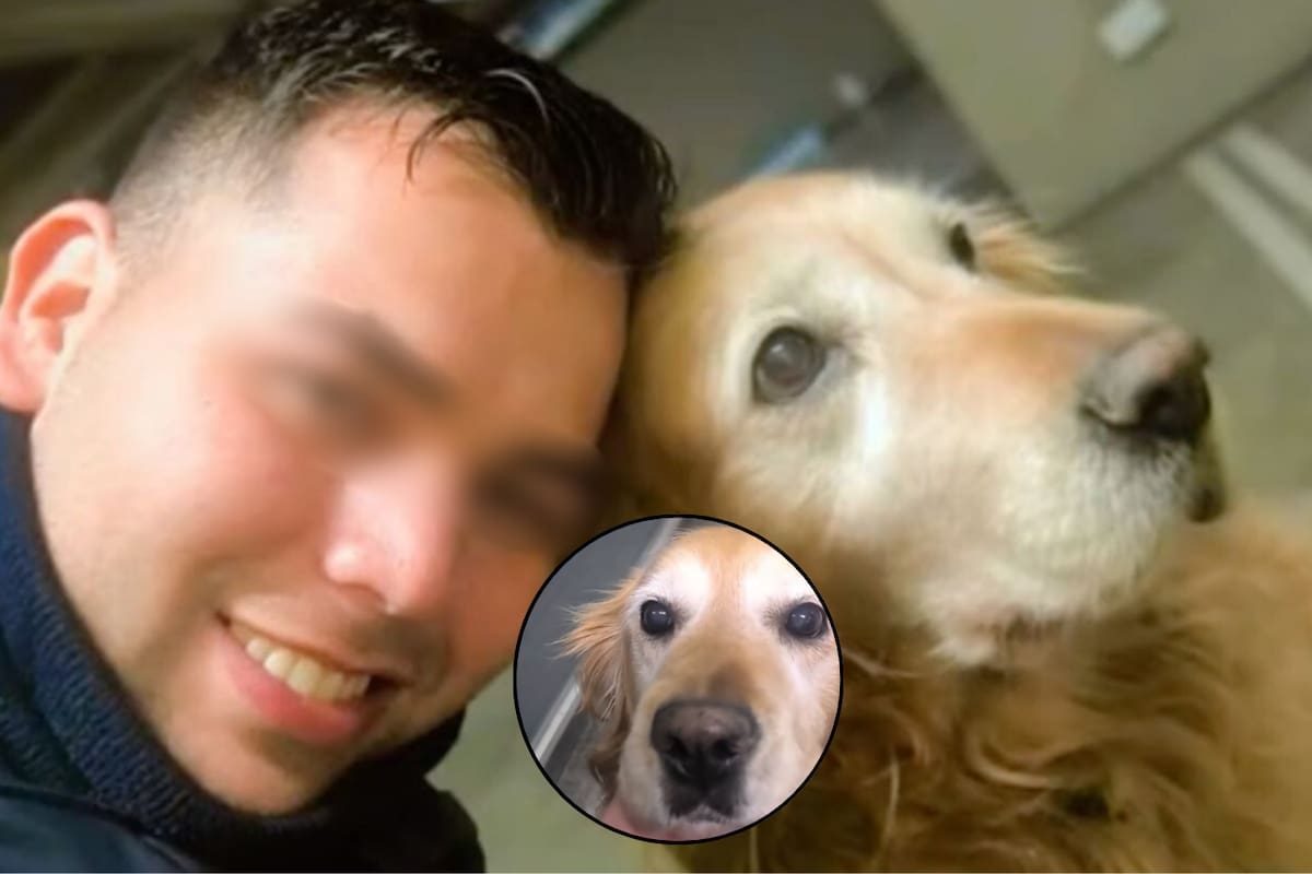 Así fue la despedida de Peki, una perrita guardia se retiró tras 10 años de servicio