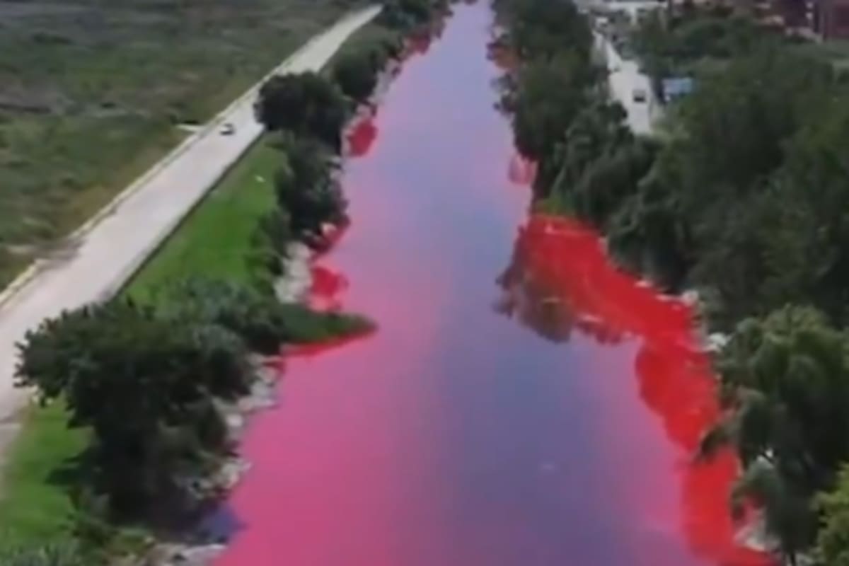 Arroyo en Argentina se tiñe de rojo preocupando a vecinos y autoridades