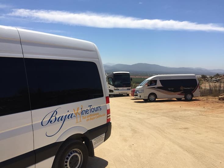 Disminuye hasta 40% visita de turistas en tours de BC