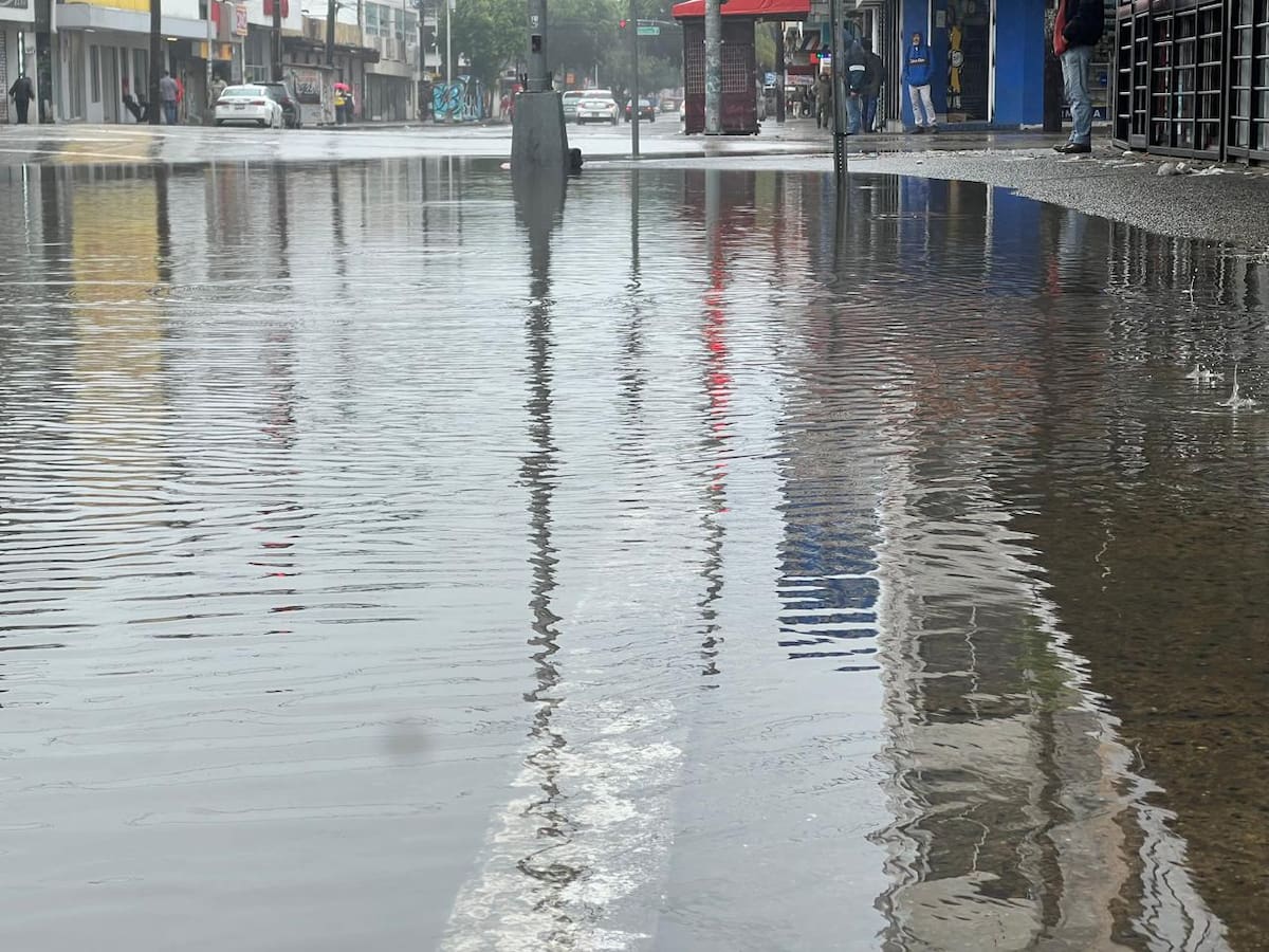 foto: Michelle Castillo