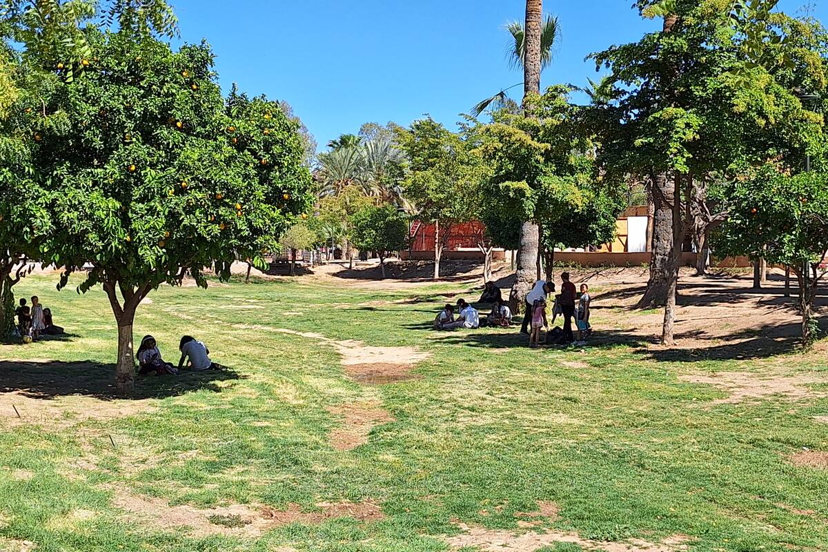Se vivirán días cálidos en Sonora con más de 30°C, ¿Hasta que día estarán así las temperaturas?