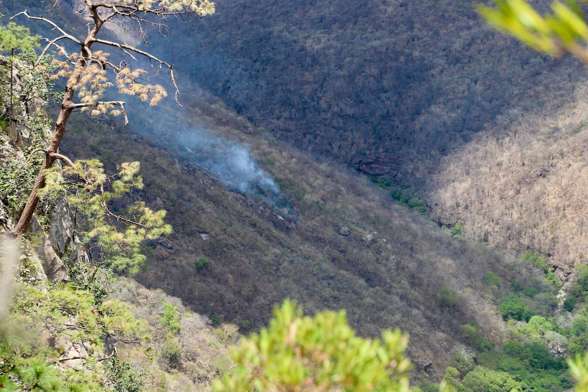Incendio forestal en Álamos está controlado al 90%: 55 personas trabajan para sofocar el fuego en El Chiviro