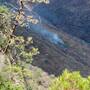 Incendio forestal en Álamos está controlado al 90%: 55 personas trabajan para sofocar el fuego en El Chiviro