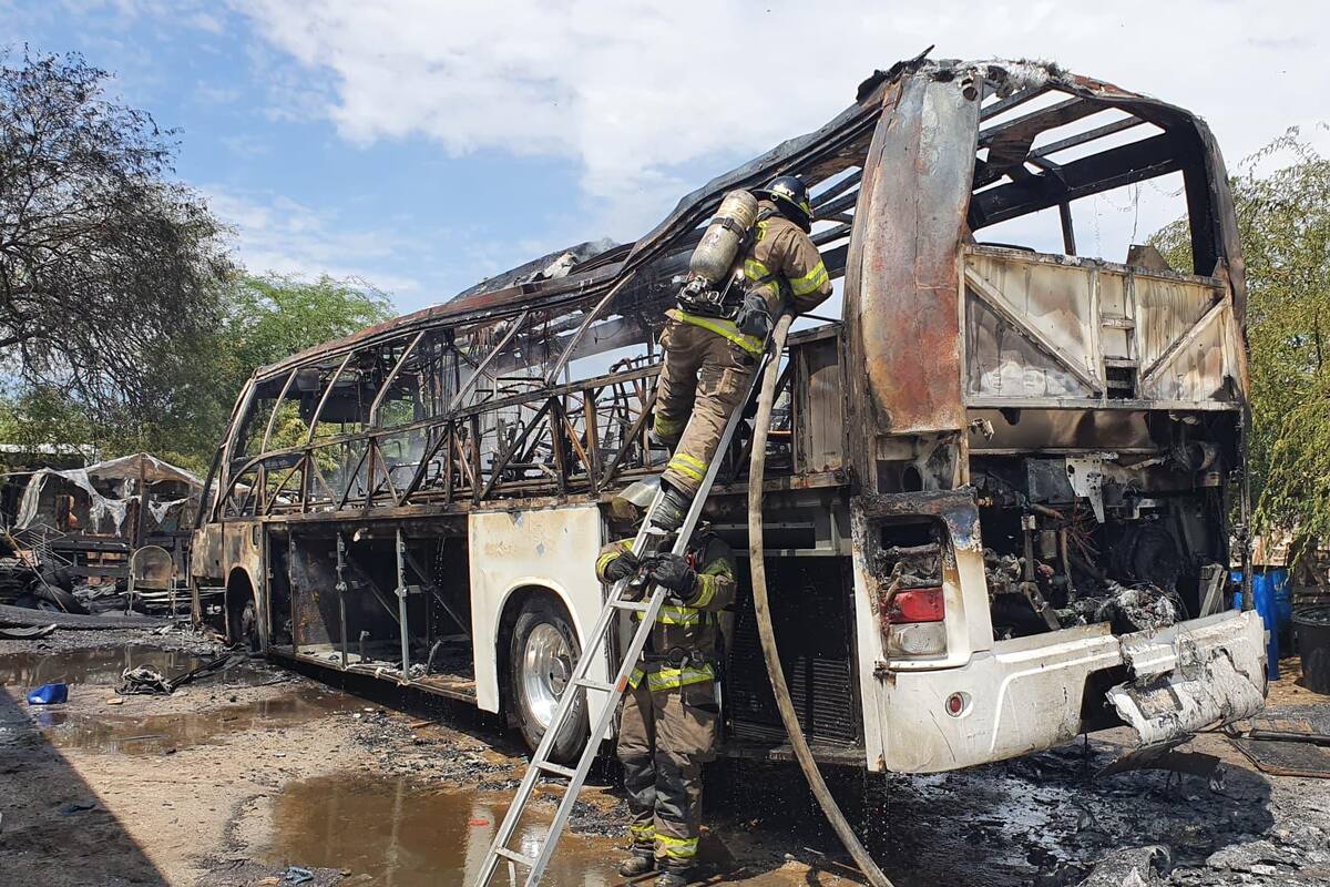 Intentando ahuyentar abejas provocan incendio en las Amapolas