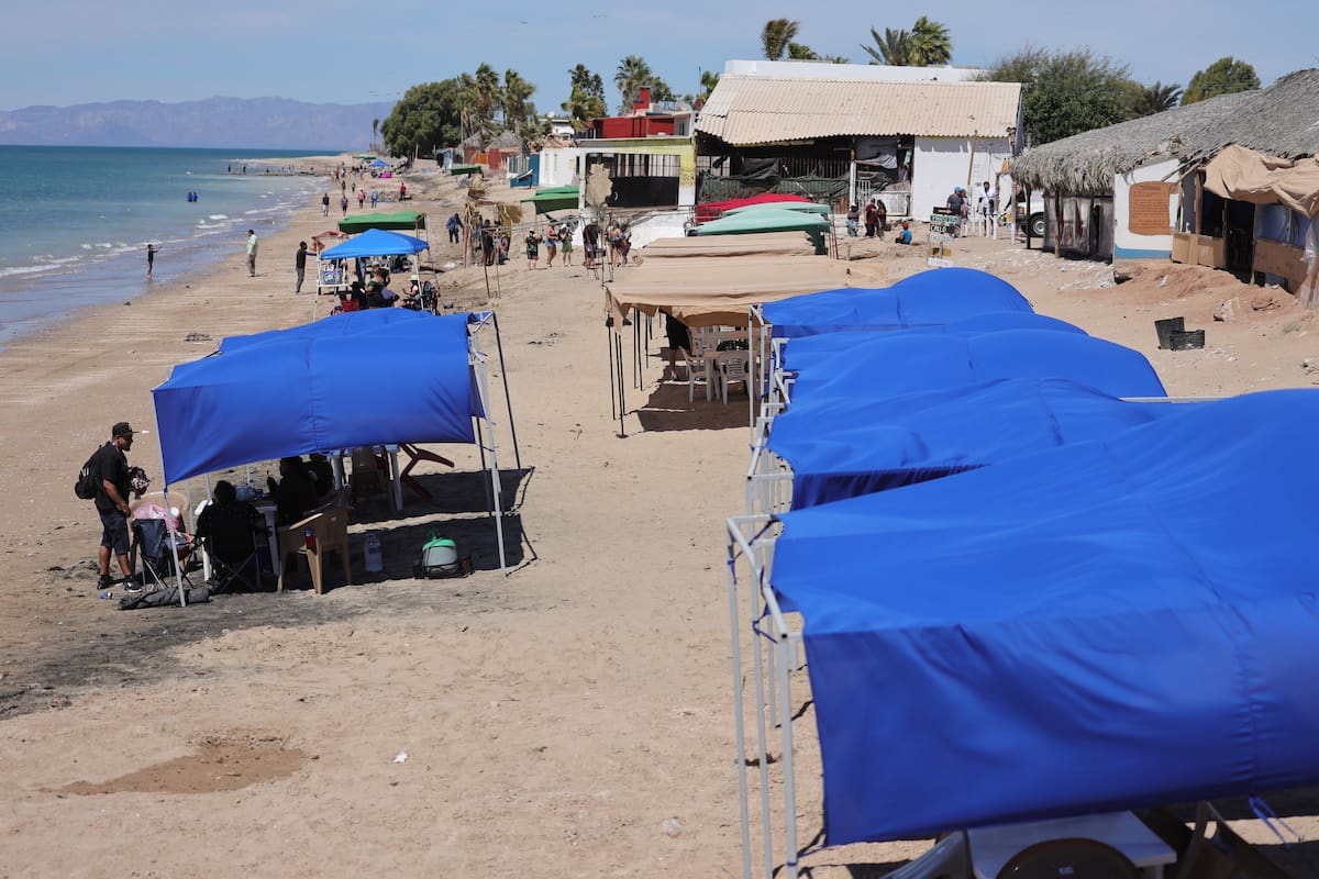 Bahía de Kino mantendrá en 150 pesos la renta de palapas durante Semana Santa 2026