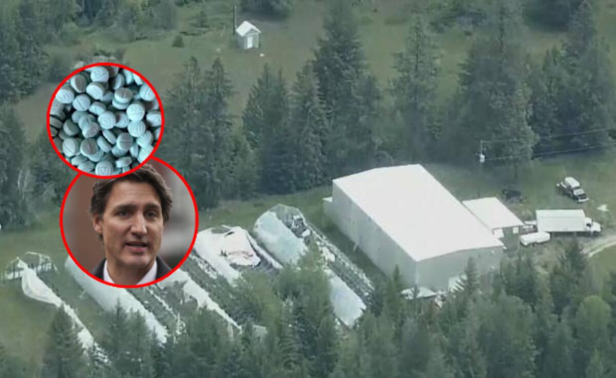 En un operativo histórico en Columbia Británica, Canadá decomisó cantidades récord de drogas sintéticas, armas y precursores químicos de un súper laboratorio controlado por redes criminales transnacionales.