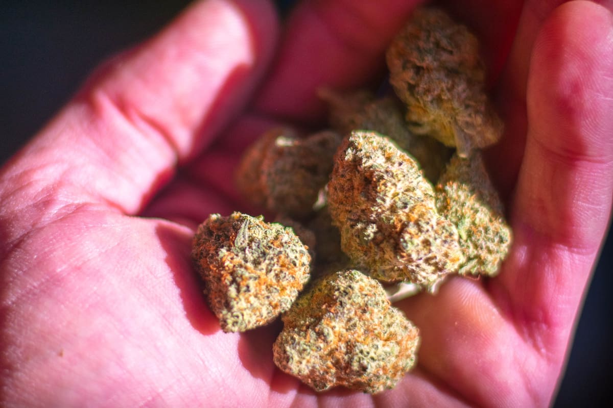 Consumo de marihuana en adolescentes: efectos reales desde un uso ocasional