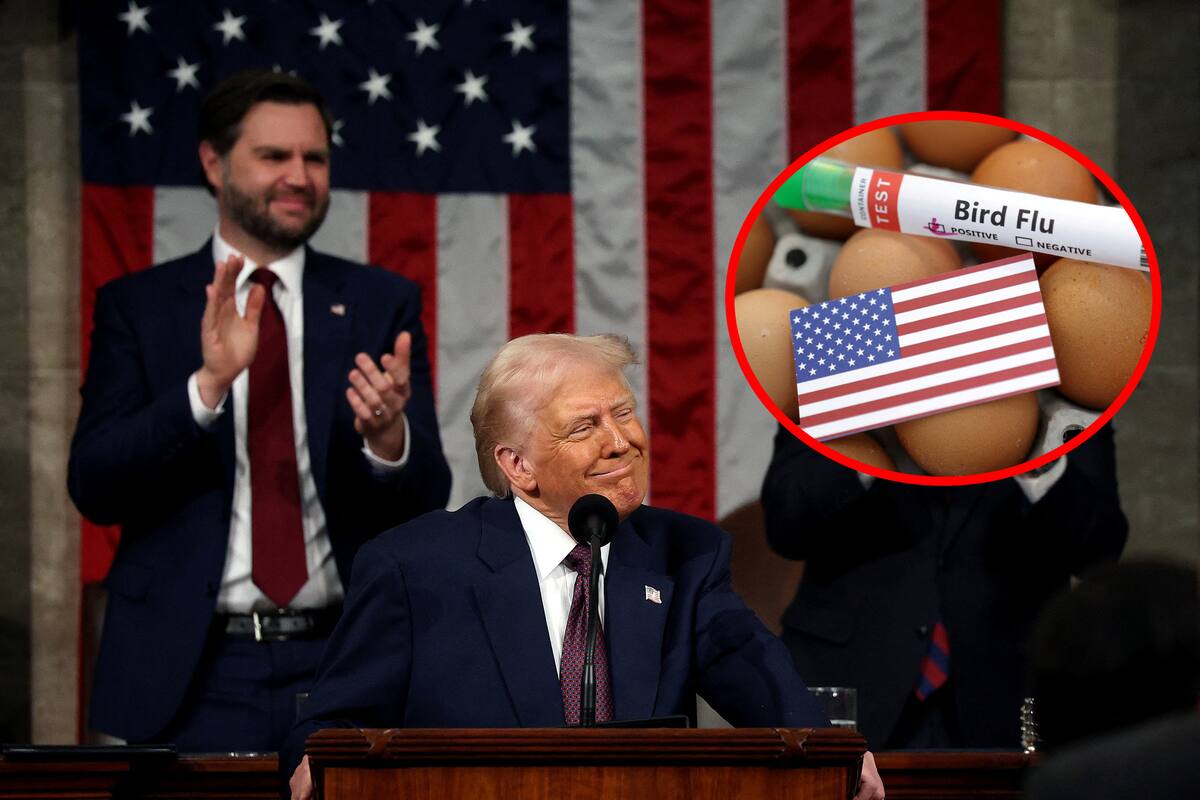 Donald Trump busca importar huevos de Dinamarca, a pesar de las amenazas de quitarle Groenlandia