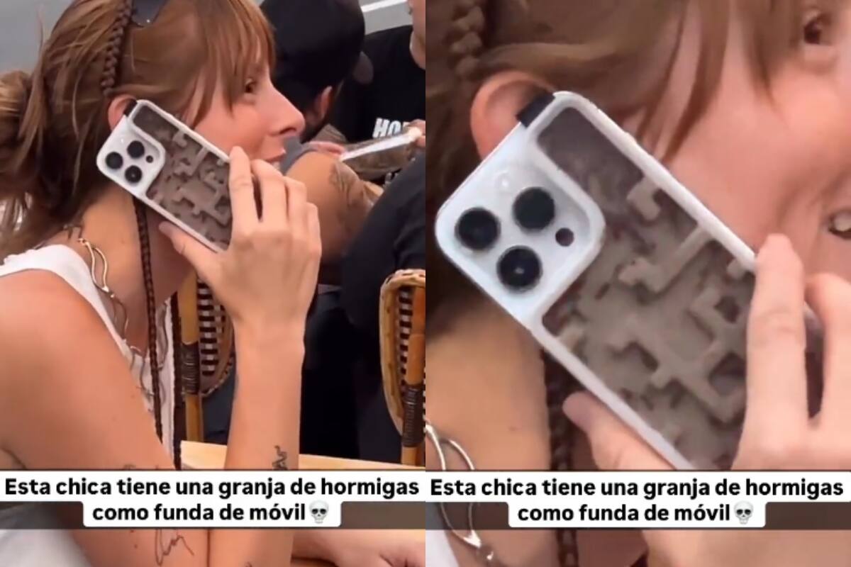 Mujer impacta en redes sociales con su funda de una “granja de hormigas” (VIDEO)