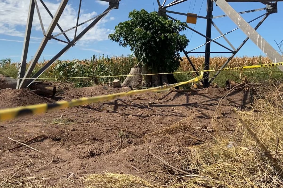 Ya van 20 osamentas en “panteón clandestino” del Valle del Yaqui