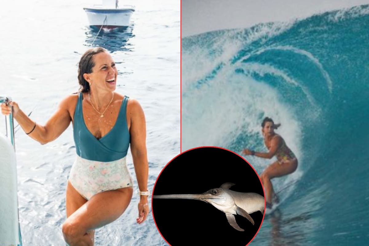 Pez espada asesina a surfista italiana en Indonesia: Le atravesó el pecho al saltar, ¿cómo sucedió?