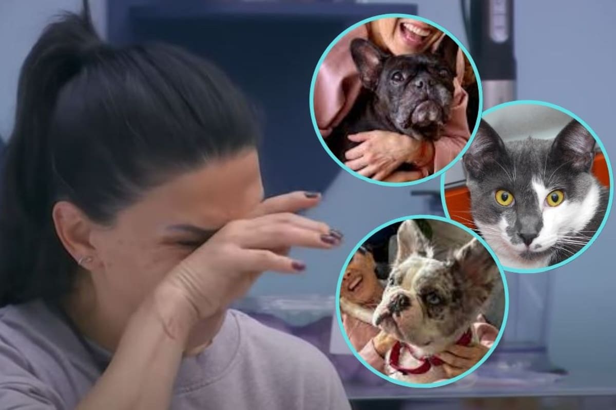Dalilah Polanco rompe en llanto al recordar a sus mascotas dentro de “La Casa de los Famosos México”