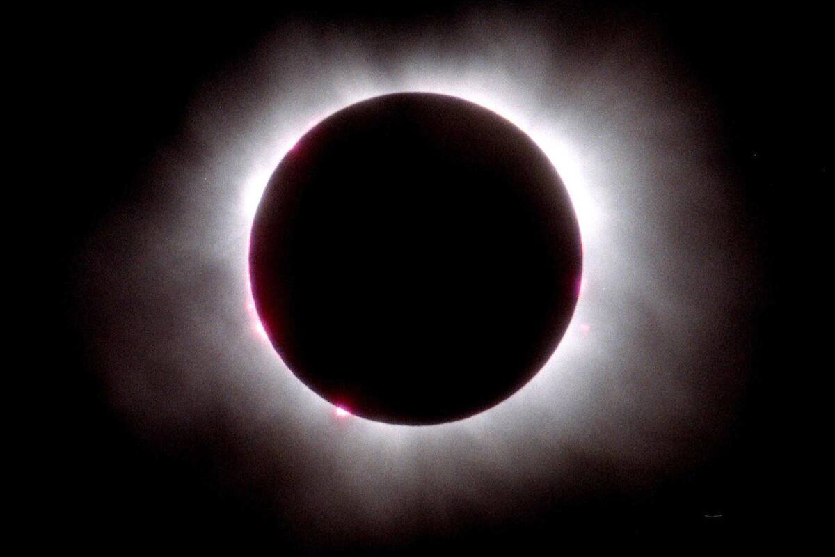 Eclipse Solar 2024: ¿Cómo afectará el evento astronómico del 8 de abril a las personas? Astrónoma mexicana lo responde
