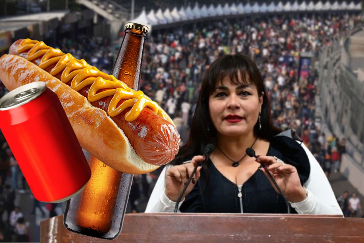 Proponen nueva ley que permita introducir alimentos y bebidas externas en conciertos para evitar que los asistentes paguen precios elevados