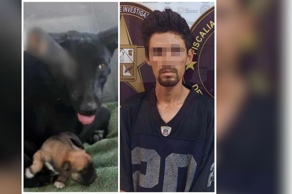 San Luis Río Colorado: Agresor de 'Negrita' es condenado a 2 años y 6 meses de cárcel