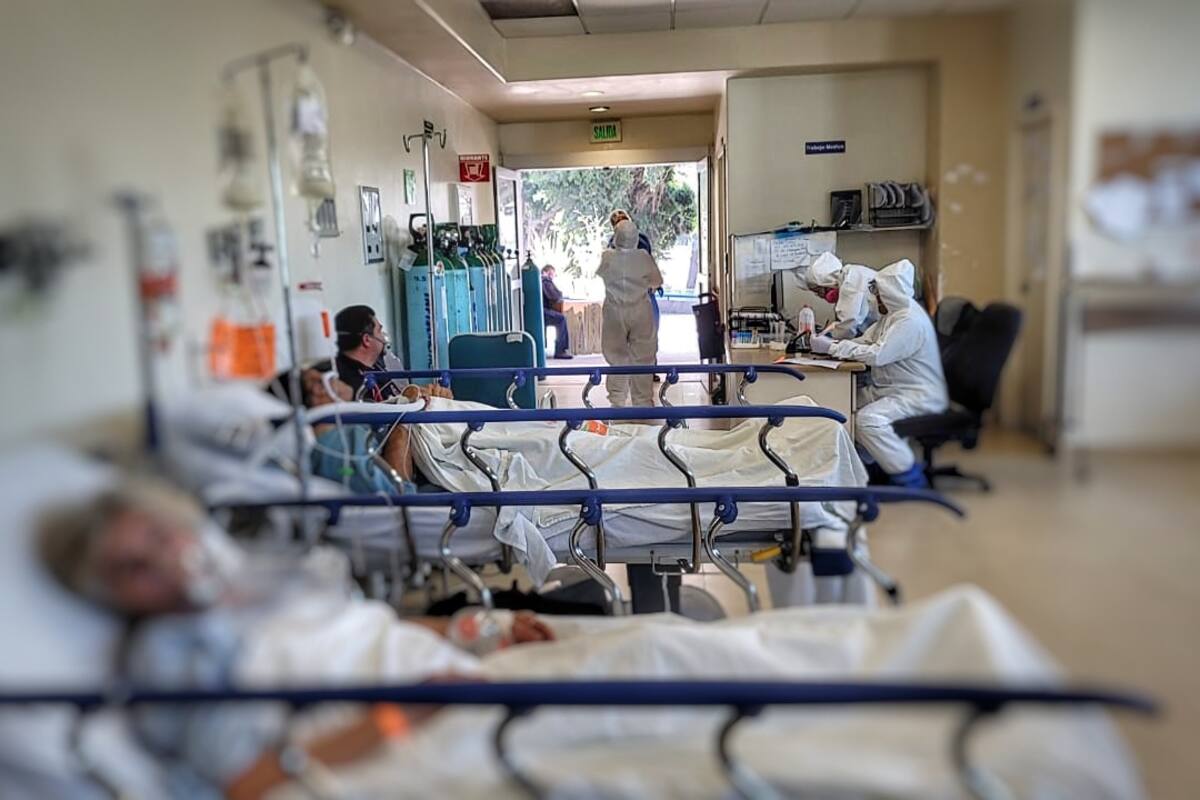 563 pacientes están hospitalizados por Covid-19