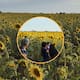 Campo de girasoles en el Valle del Yaqui se vuelve un atractivo floral: Visitantes llegan al atardecer para tomarse fotos y disfrutar del paisaje