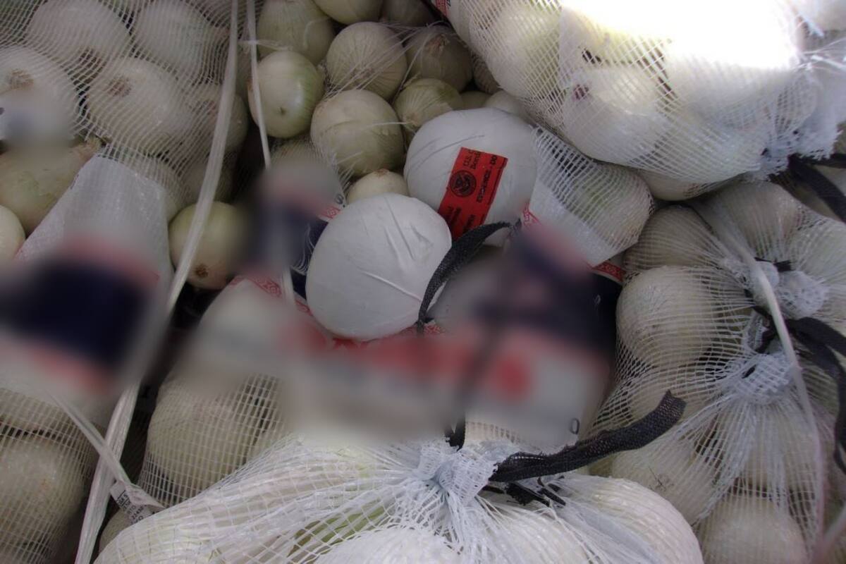 California: Localizan más de mil paquetes de metanfetamina escondidos en costales con cebollas