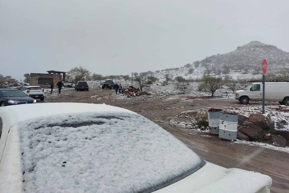 Seguirá frío “congelante”, advierten a Nogalenses extremar cuidados